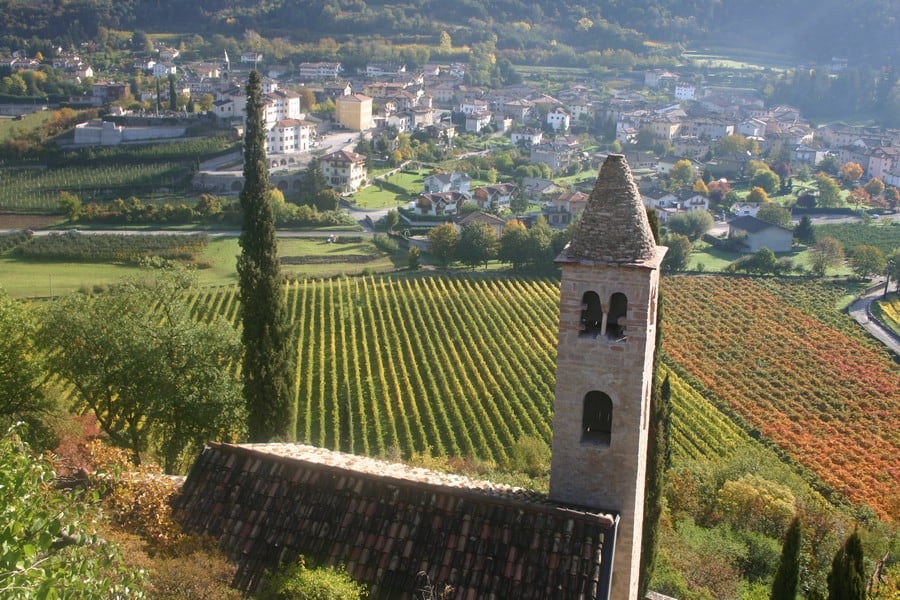Paesaggio rurale con campi coltivati e campanile storico in primo piano.