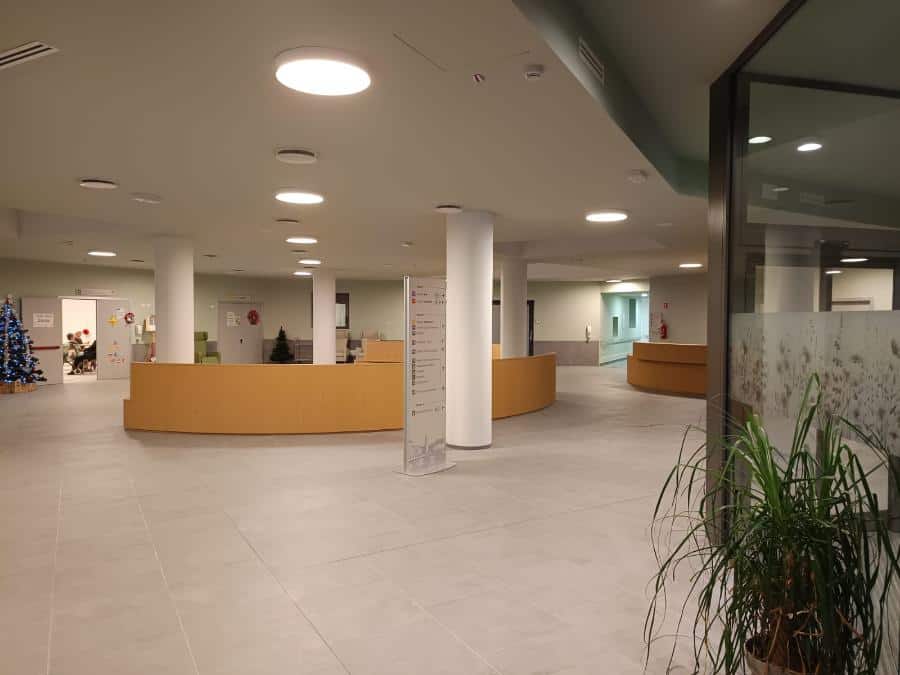 Reception area moderna con piante e arredi in legno chiaro.